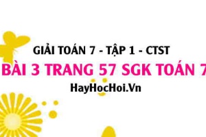 Giải bài 3 trang 57 Toán 7 Tập 1 SGK Chân trời sáng tạo